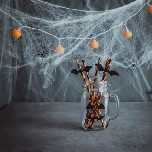 Halloween kunstmatige spinnenweb met spinnen