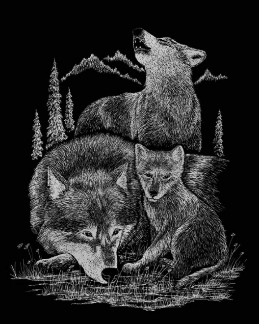 ROYAL & LANGNICKEL Images à gratter en bloc Animaux sauvages d'Amérique du Nord