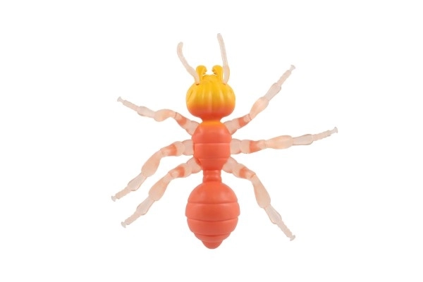 Anti-stress Ant