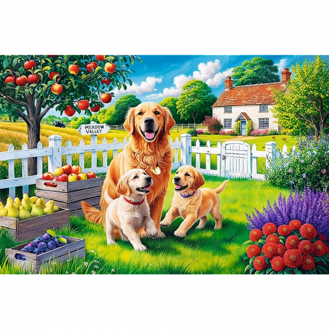Puzzle - 300 Teile - Hunde auf dem Land Trefl