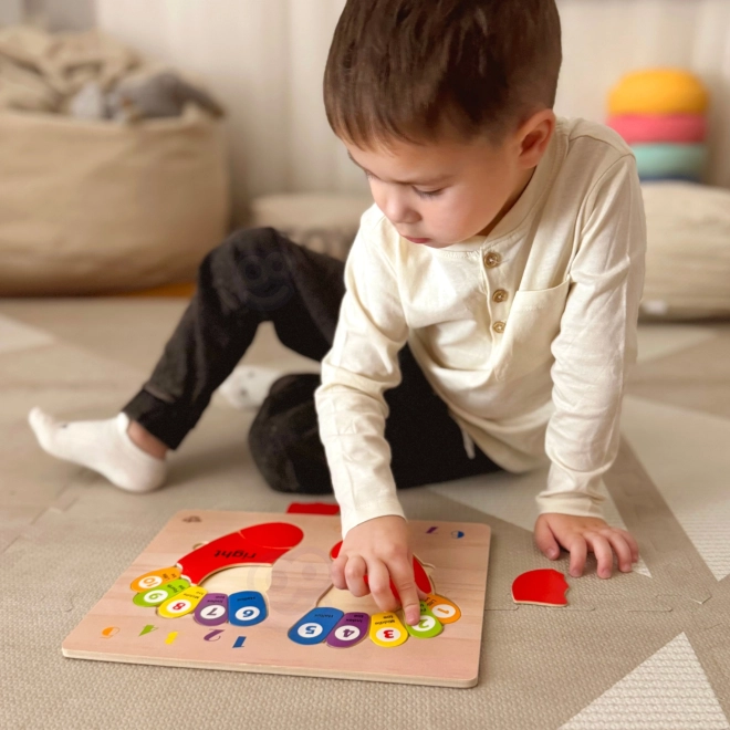 TOOKY TOY Lernpuzzle aus Holz - Zahlen und Farben lernen