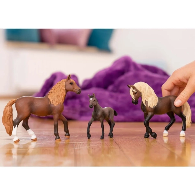 Onderdeel van de wereld van HORSE CLUB