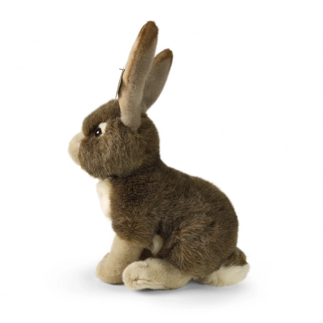 Pluchen konijn 30 cm MILIEUVRIENDELIJK