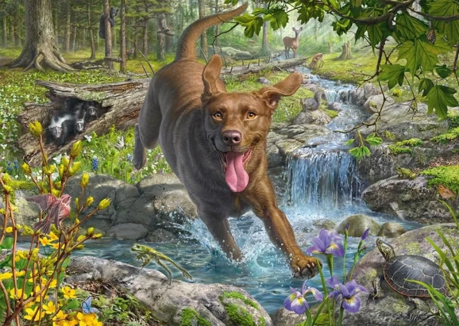 Puzzle Retriever au printemps 1000 pièces