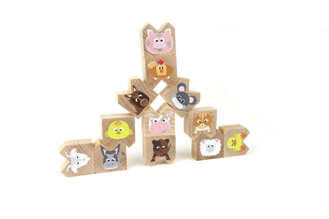 Houten balansspel met huisdieren