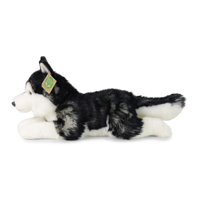 Plush Husky 36 cm Eco-Friendly