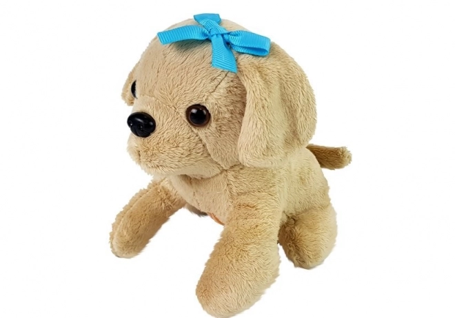 Dierenarts set met hond en drager