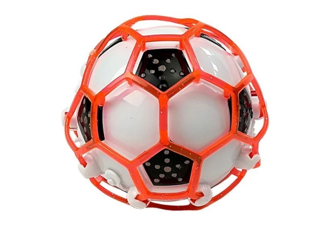 Durable protective cage for safe play