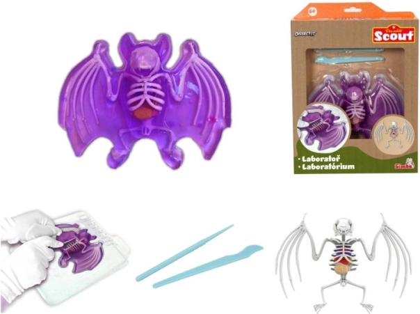 Explore : dissection de chauve-souris – kit éducatif avec gelée