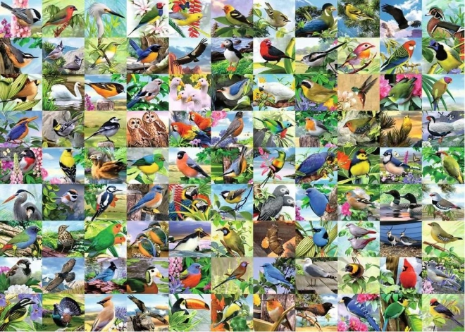 2D Puzzle Large Format – 99 Enchanting Birds, 300 Pieces