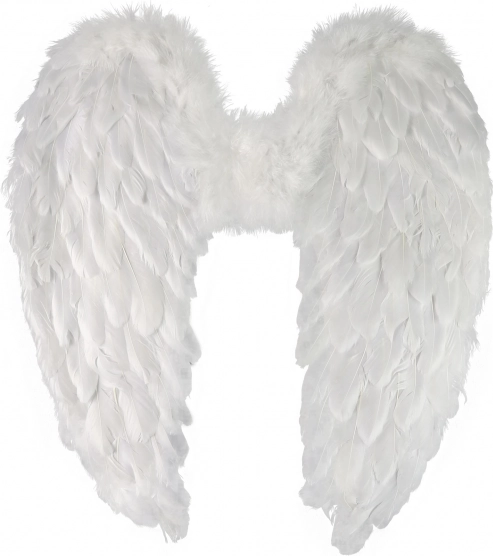 Angel Wings with Feathers