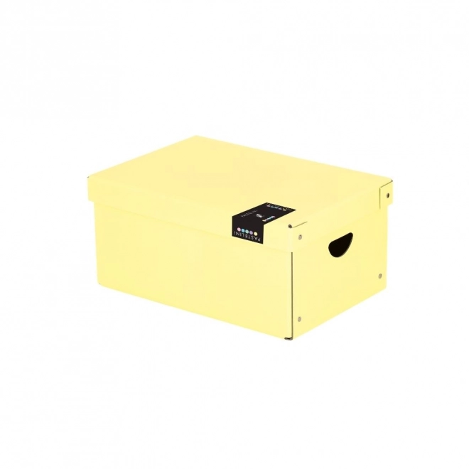 Große Laminatbox Pastelini Gelb