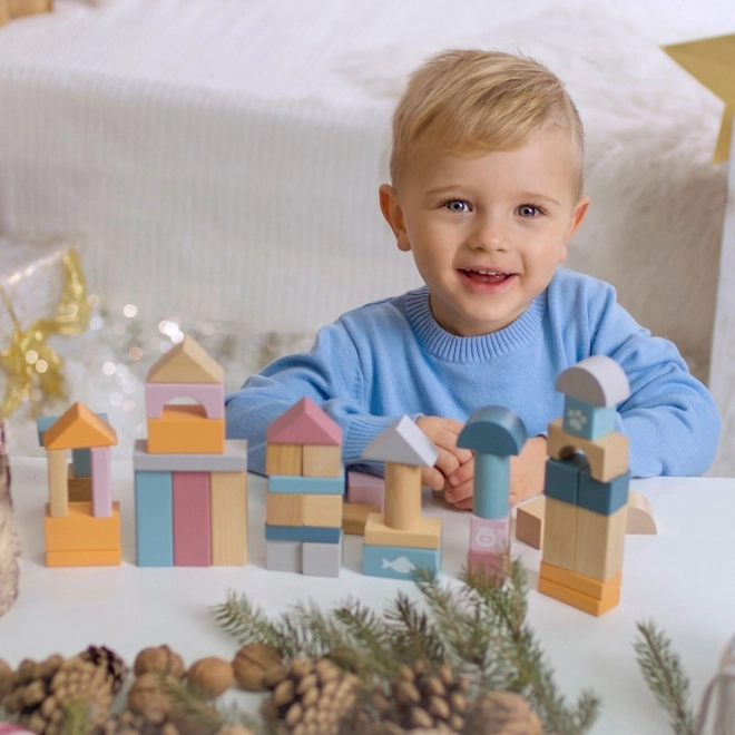 Wooden Block Set 60 Pieces
