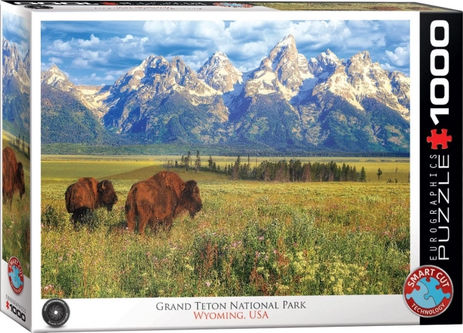 Puzzel prachtige Grand Teton Nationaal Park 1000 stukjes