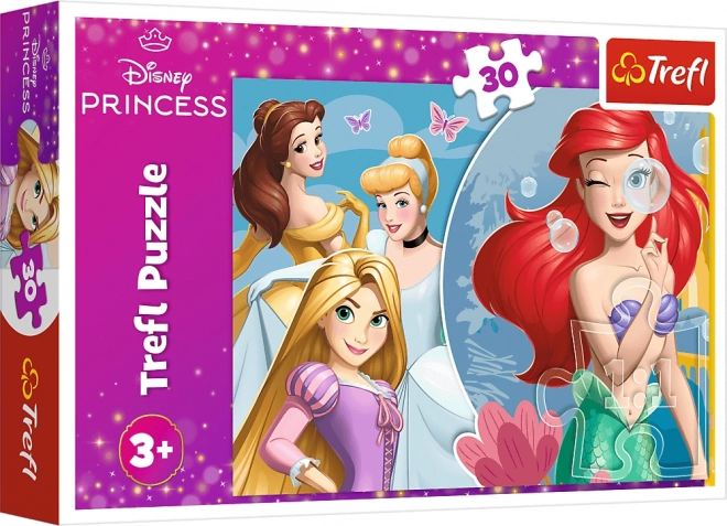 Motief van DISNEY PRINCESS-prinsessen
