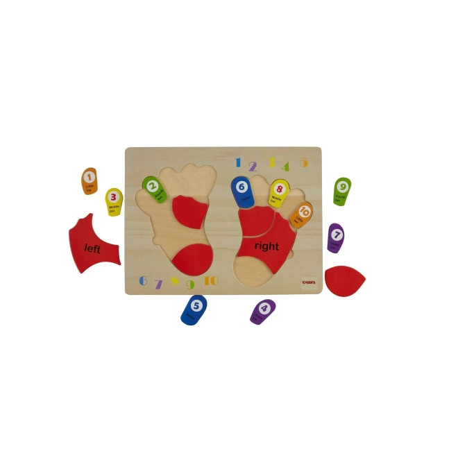 TOOKY TOY Lernpuzzle aus Holz - Zahlen und Farben lernen