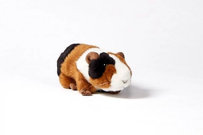 Pluchen cavia