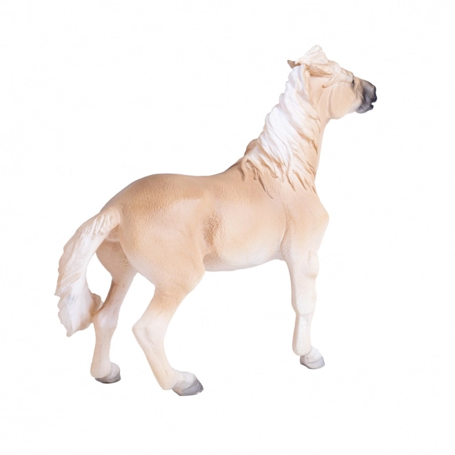 Mojo Brumby Mare