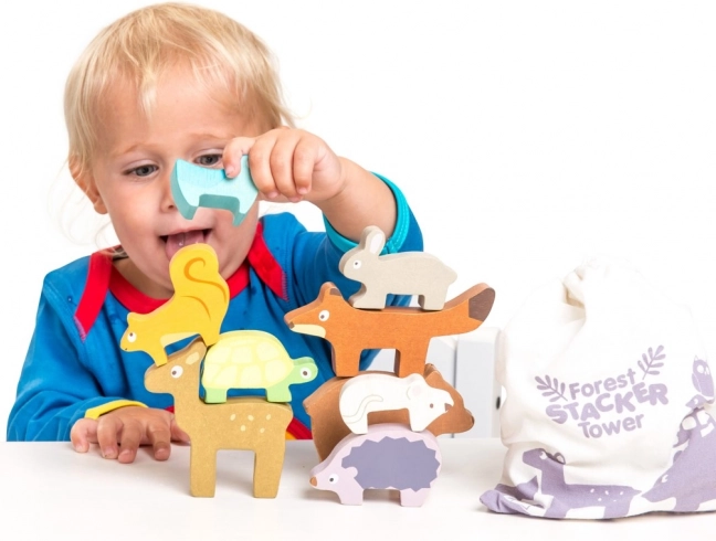 Develops fine motor skills and creativity