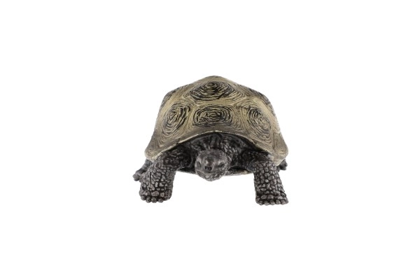 olifantenschildpad zooted plastic 8cm in zak