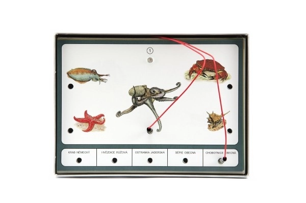 Educatief spel - Dieren van de wereld