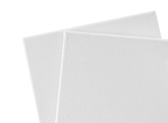 Schilderdoeken 20x20 cm - 2 stuks