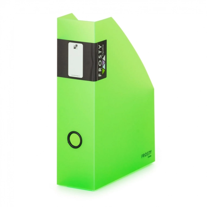 Tijdschriftenbox Opaline groen