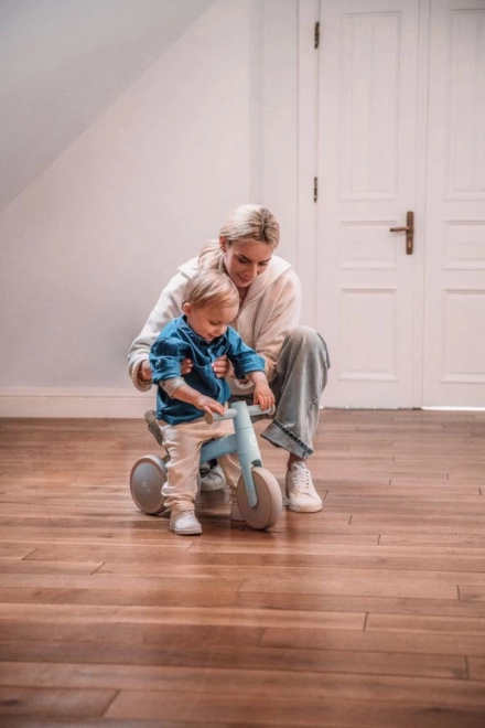 Loopfiets MoMi TEDI mini groen