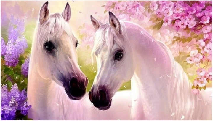 Diamant schilderen – verliefde paarden 30x40 cm NORIMPEX
