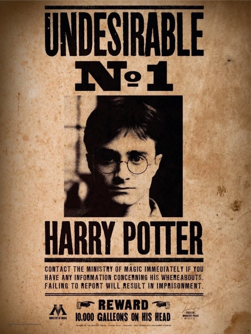 Mini puzzle HARRY POTTER 50 pièces – affiche