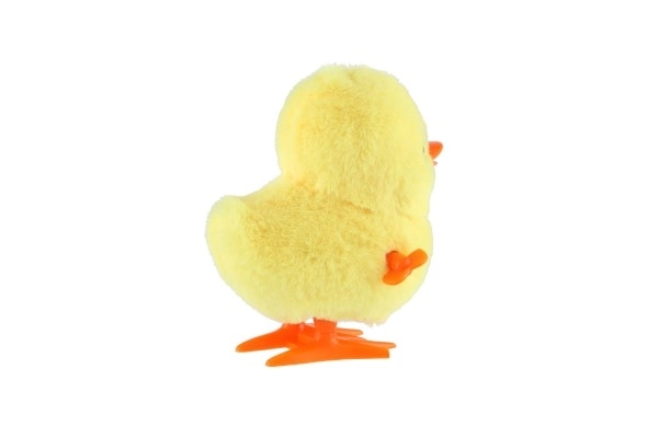 Springende eend opwinden
