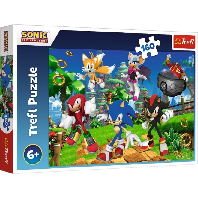 Puzzle Sonic and Friends 160 Pieces