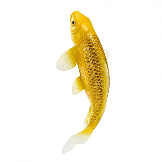 Mojo karper koi Matsuba