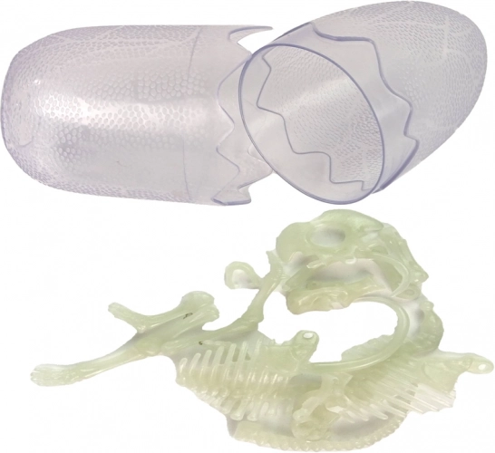 Detailed anatomy