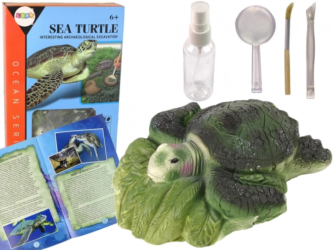 Educatieve set ammonieten schildpad opgravingen