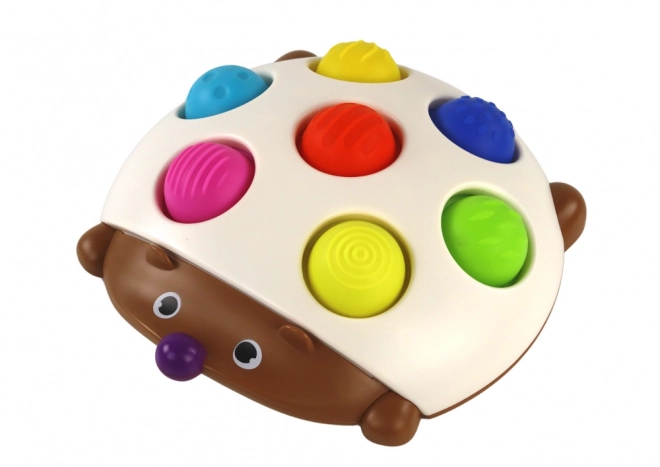 Zintuiglijke egel leuk Montessori bord