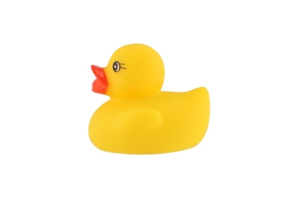 Canard lumineux pour le bain