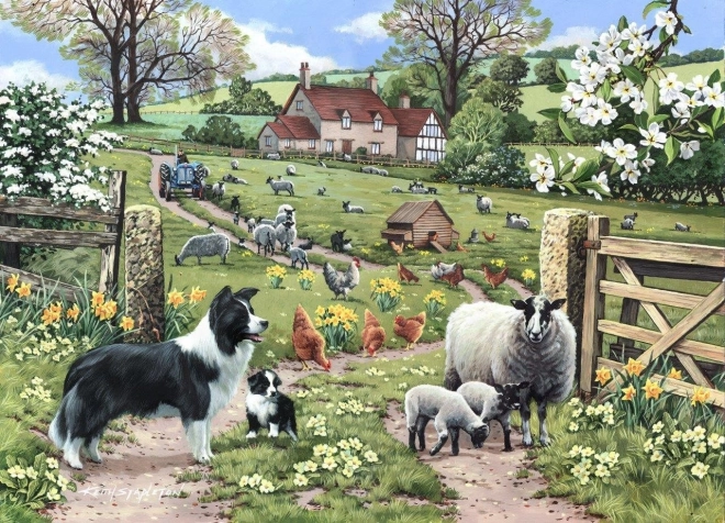 Puzzel Vroege Leren 1000 Stukjes