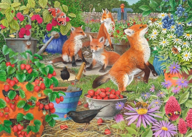 Puzzel Vosse-dames 1000 stukjes