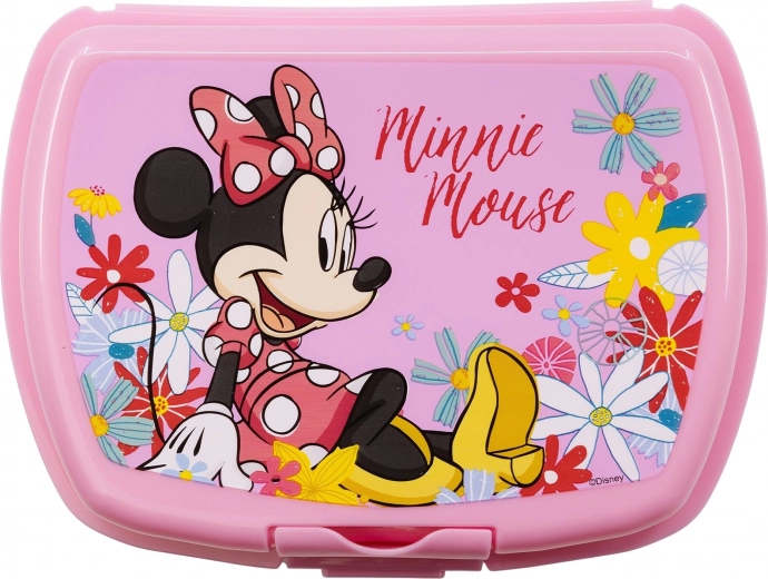 Stylish design with Minnie Mouse