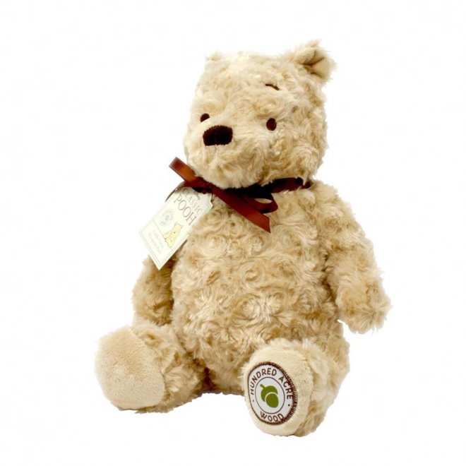 Regenboog Knuffel Winnie de Poeh uit het Honderd Bunder Bos