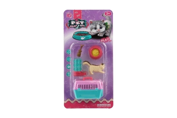 Poes met draagbare doos en accessoires