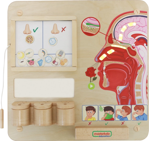 MASTERKIDZ Montessori Educational Board – Sense of Smell