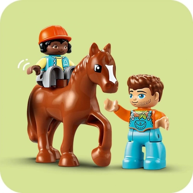 LEGO® DUPLO® 10416 Dierenverzorging op de boerderij