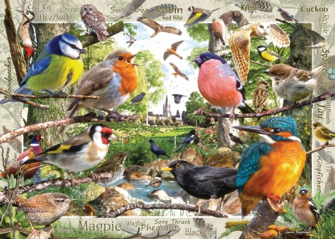 Puzzle Nos amis à plumes 1000 pièces