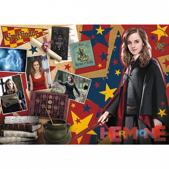 Trefl Puzzle Harry Potter: Ron, Hermione and Harry Set