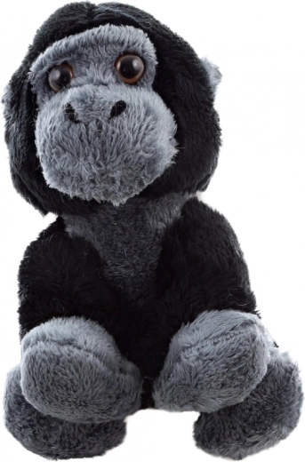 Ecologische productie