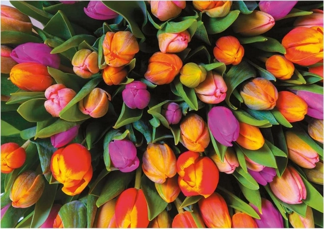 Piatnik Puzzle Tulpen 1000 Teile