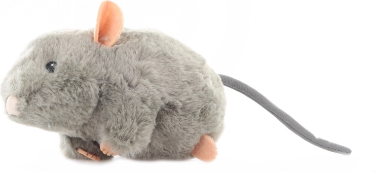 Veilige details voor leeftijd 0+