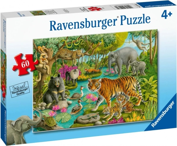 Ravensburger Puzzle Animals of India 60 Pieces